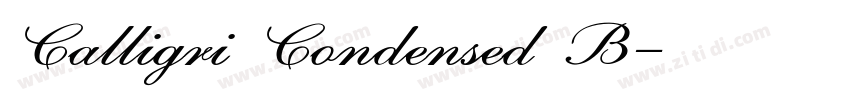Calligri Condensed B字体转换